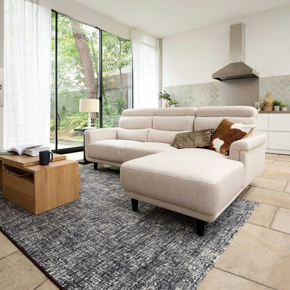 楽天市場】【12％OFF ～11/27 AM9：59まで】【開梱設置】カプラノス2