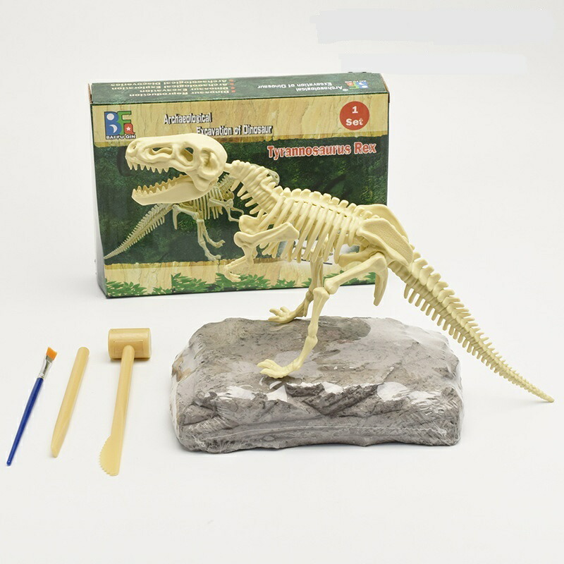 化石　恐竜の骨セット　ティラノサウルス　イグアノドン他 楽天市場】恐竜発掘セット【プテラノドン】 化石 恐竜 骨