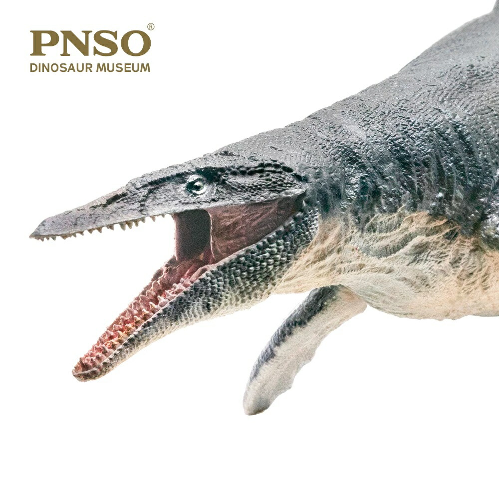 pnso ギガノトサウルス 1/35 スタチュー 恐竜 フィギュア 37CM Amazon | PNSO 1/35 サイズ ギガノトサウルス ジュラシック