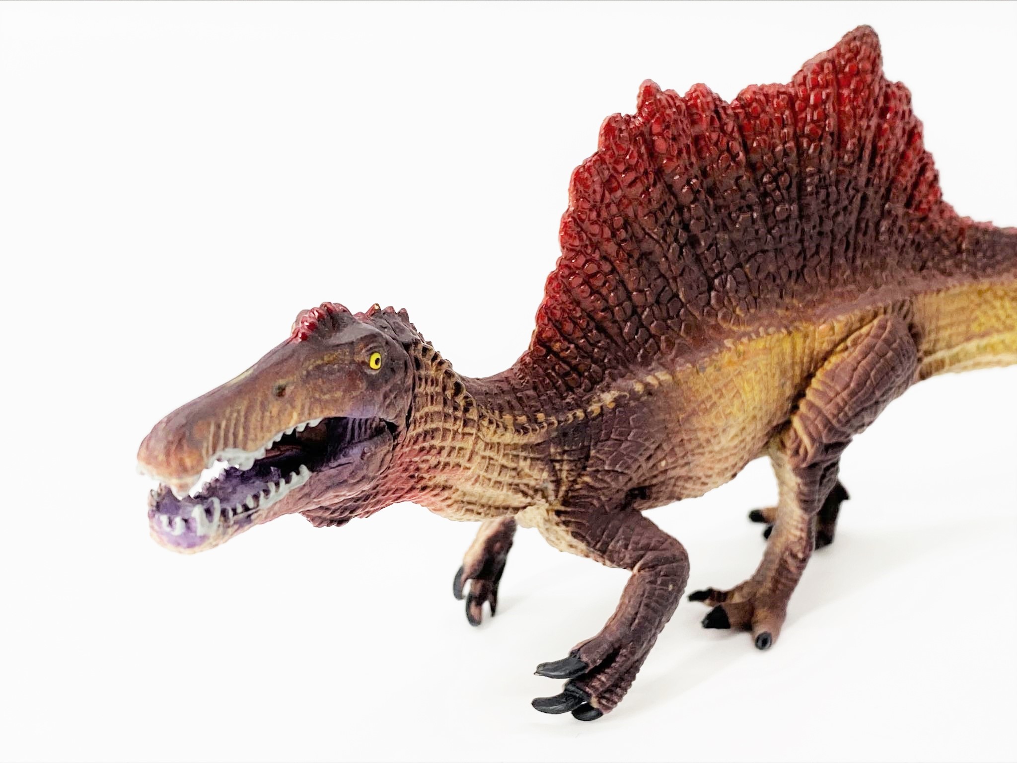 楽天市場】恐竜 フィギュア ステゴサウルス キッズ おもちゃ