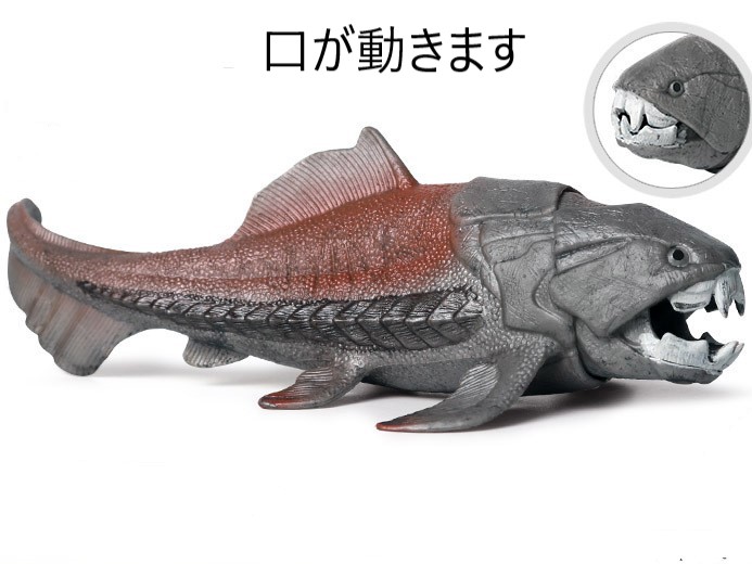 ダンクルオステウスリアルフィギュアグレーオレンジ迫力観賞用恐竜キッズ子ども口開閉可動式自立おもちゃコレクションdf036_dk