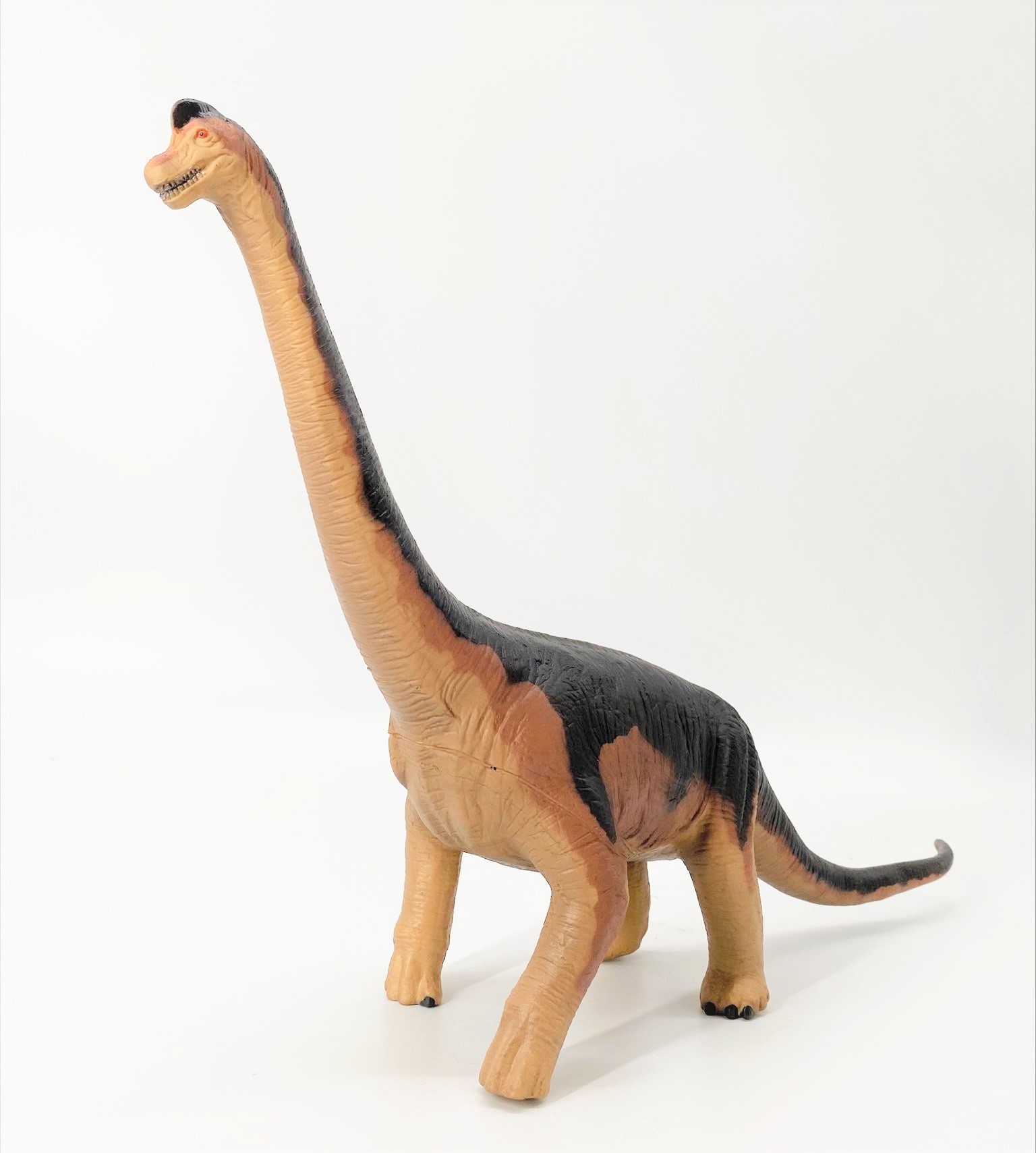 楽天市場】恐竜 フィギュア ステゴサウルス キッズ おもちゃ パープル