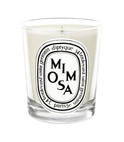 Diptyque ディプティック ミモザ キャンドル Mimosa Candle 190g Tajikhome Com