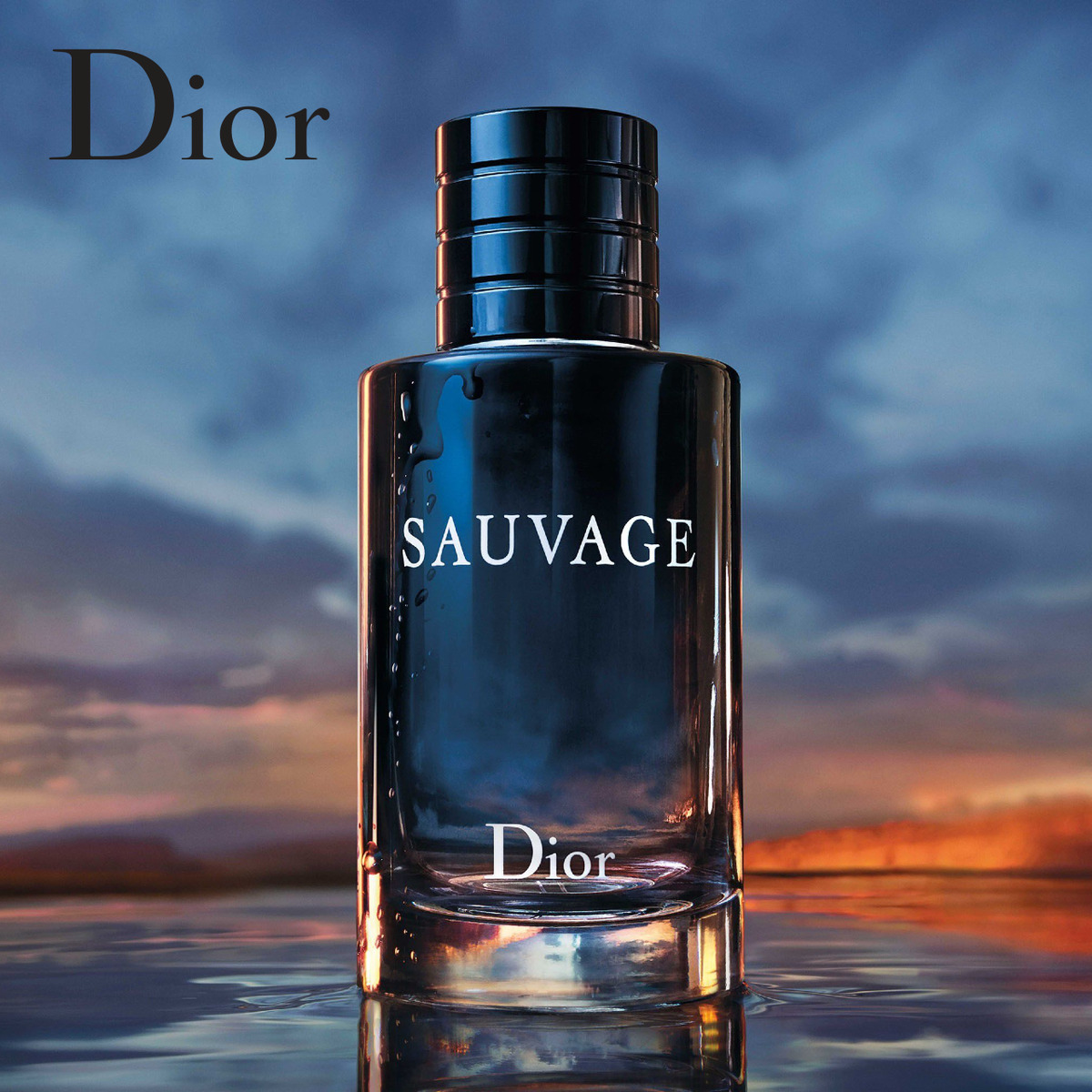 品質満点！ Dior ソヴァージュ 100ml drenriquejmariani.com