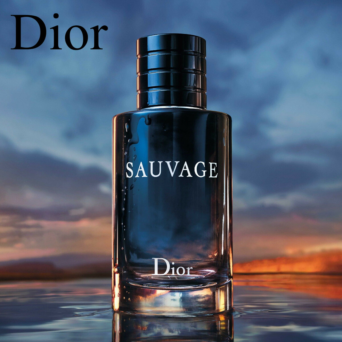 Dior SAUVAGE 100mlディオール ソバージュ オードゥトワレ - 香水(男性用)