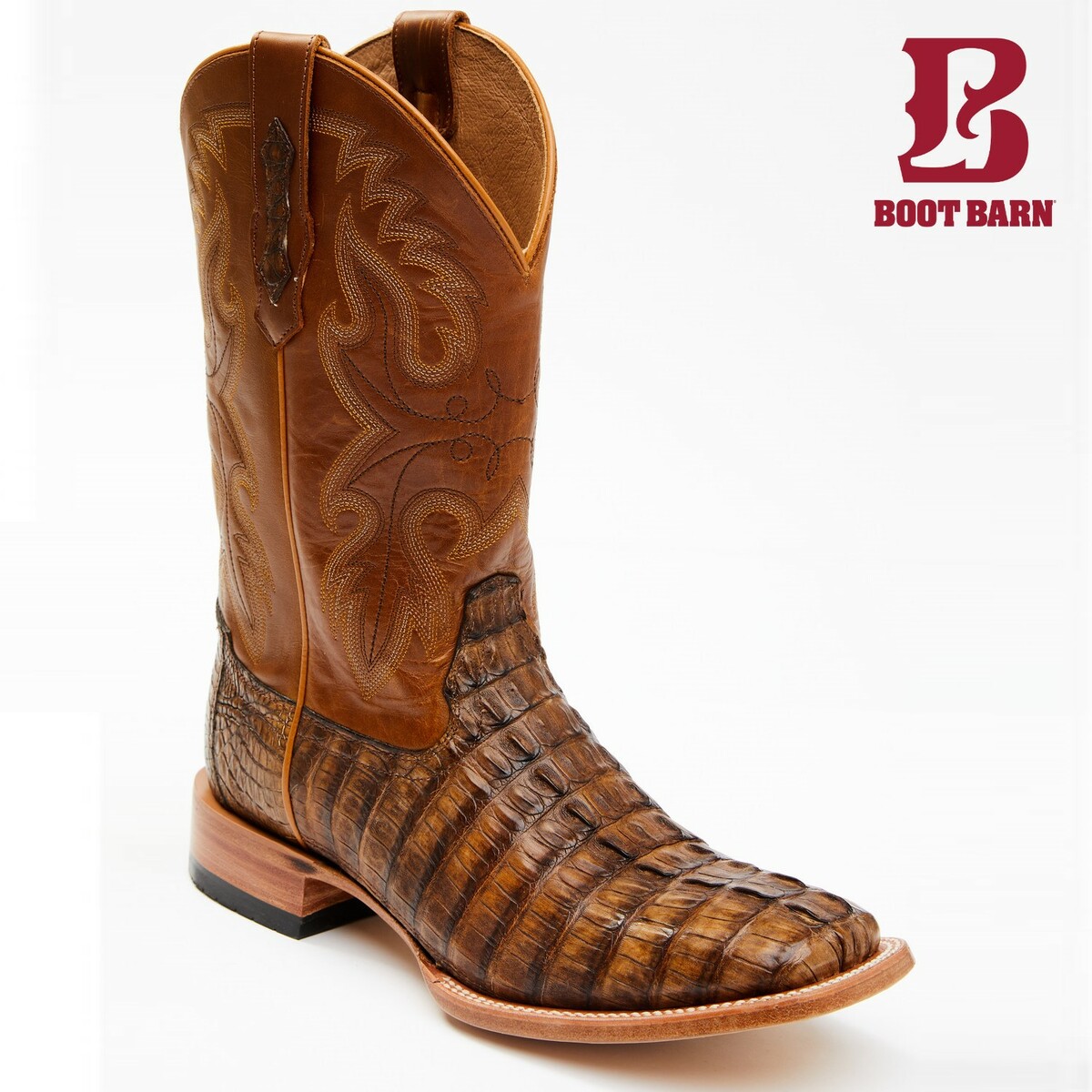 BOOT BARN ブートバーン コディ ジェームズ メンズ エキゾチック カイマン テール スキン ブロード スクエア ブラウン CODY JAMES MEN'S EXOTIC CAIMAN TAIL SKIN BROAD SQUARE BROWN|DIO GRECO