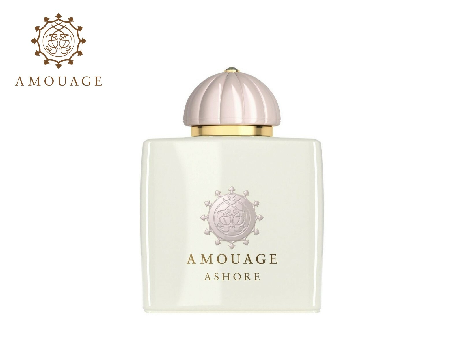 メーカー公式ショップ】 AMOUAGE アムアージュ ウィメンズ アショア