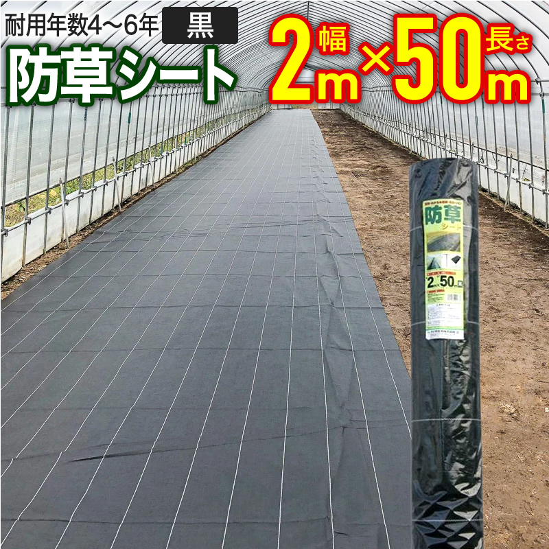 楽天市場】防草シート施工用テープ 100mmx10m 黒 幅広 高密度防草