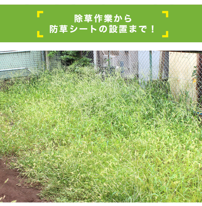 楽天市場 初心者でもカンタン 防草らくらくセット1 シート色 黒 約１坪用 除草作業から防草シートの設置まで 必要な道具がまとめてセットに ダイオeショップ 楽天市場店