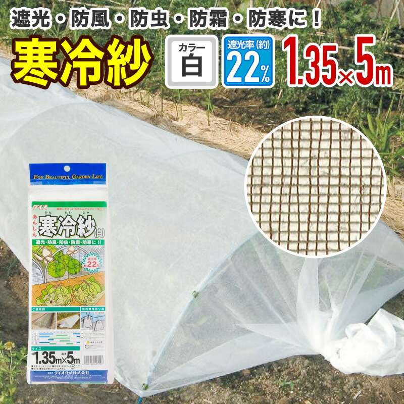 太陽分割 413107_20241129.jpg