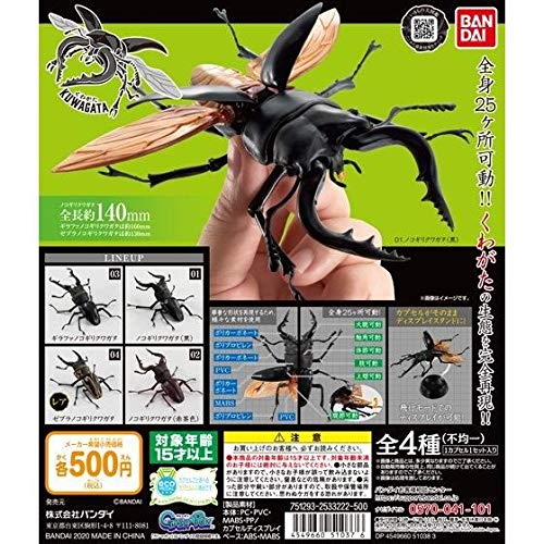 くわがた 全4種セット(レア含むコンプセット) バンダイ 2020/10/1発売|DIOマート