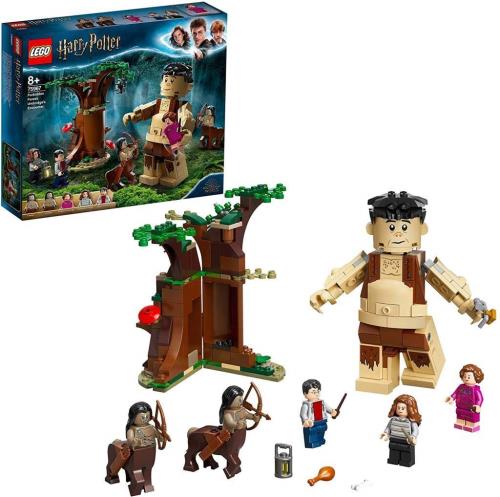 レゴ(LEGO) ハリーポッター 禁じられた森：グロウプとアンブリッジ回路の顔を合わせる 75967 ブロック-おもちゃ