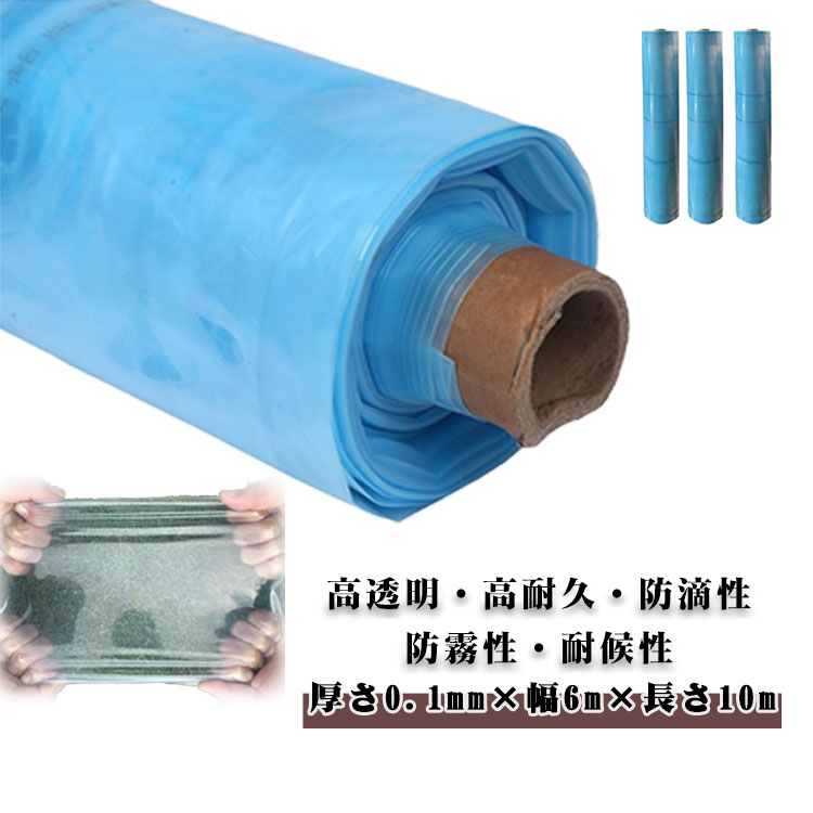 厚さ0.1mm×幅6m×長さ10m ビニールシート 屋根用ハウスビニール ビニールハウス用 農業用ビニール 農業資材 家庭菜園 園芸用品 透明 農業用品 栽培 ハウスフィルム トンネル 保温カバー 温室フィルム 農PO ガーデン用 農ビル POフィルム 部材