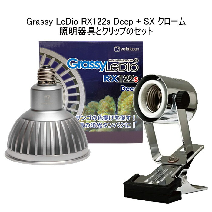 新たなる海水魚水槽38】グラッシーレディオRX072e | ありえない