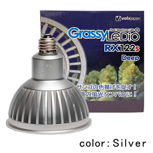 ボルクスジャパン グラッシーレディオ121s Reef レディオクリップ　セット Grassy LeDio RX121s / グラッシー・レディオ RX121s – ボルクス