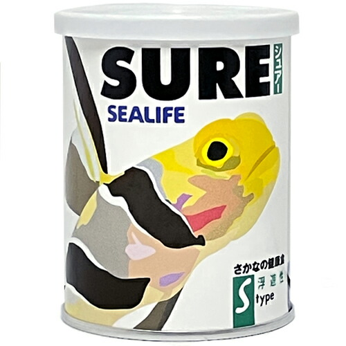 楽天市場】ボルクスジャパン ベスタウェーブ VW08A 水流ポンプ