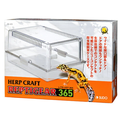 楽天市場】【水槽セット】ヒョウモントカゲモドキ 飼育セット 若