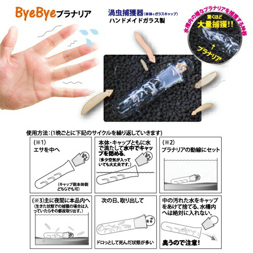 楽天市場 アズー Byebyeプラナリア 渦虫捕獲器 除去 水槽 メンテナンス 株式会社ディスカウントアクア