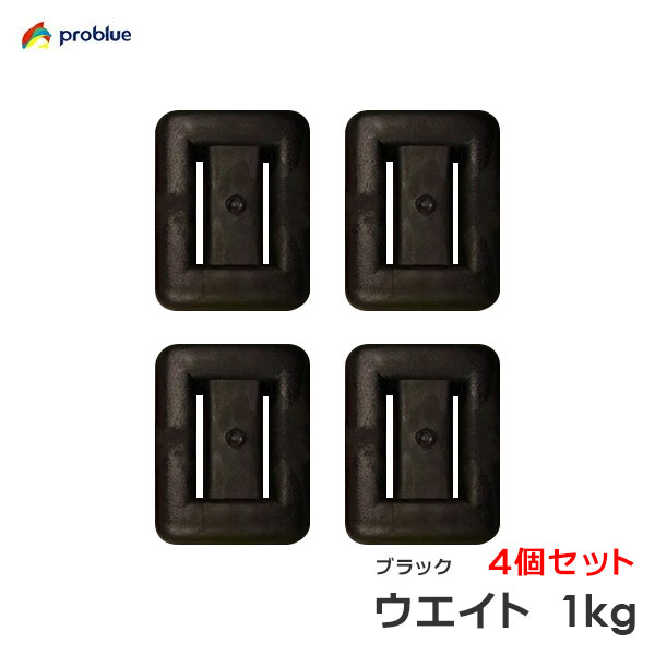 楽天市場】ウエイト 1kg スキューバダイビング ウェイト 鉛玉