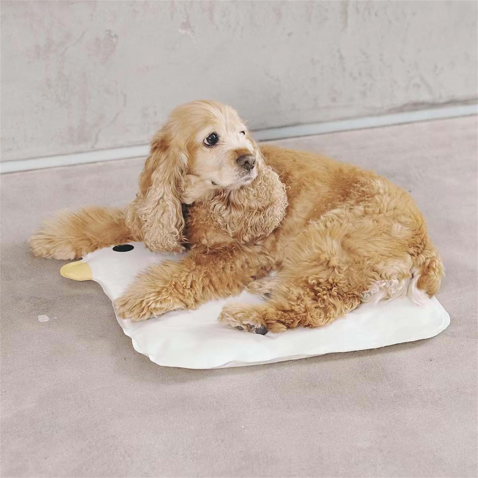 愛玩動物冷やかす引っ敷き 犬冷やかす引っ敷き犬猫用冷やかす引っ敷き犬冷やかすパッド夏愛玩動物犬冷やかす引っ敷き犬臥榻犬掘ったて小屋鉄道車両居敷き 臥榻引っ敷き 日用品雑貨・文房具・手芸-その他