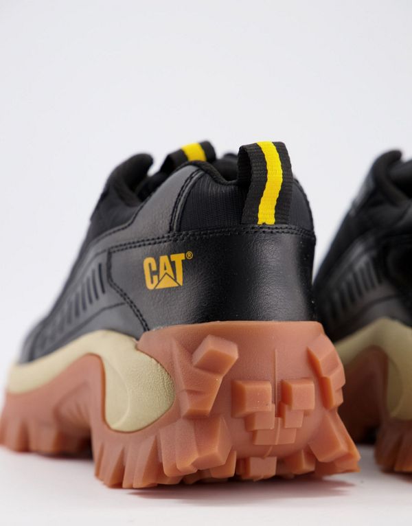 cat footwear