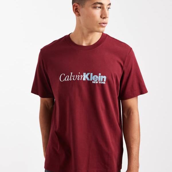 カルバンクラインジーンズ Calvin Klein Jeans カルバン・クライン・ジーンズの大きなセンターロゴTシャツ（赤） トップス メンズ 男性 インポートブランド 小さいサイズから大きいサイズまで