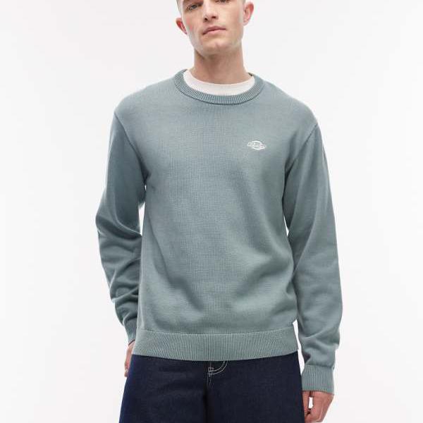 ディッキーズ Dickies ディッキーズ サマーデール 編み物スウェーター（青色） トップス メンズ 成人男性 インポートブランド たわい無い大きさから気が大きい大きさまで