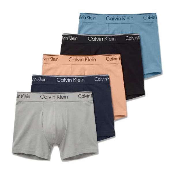 カルバンクライン Calvin Klein カルバン・クライン マイクロ衣料繊維 伸ばすこと ローライズ さる股引き 5枚組 黒いこと/薄墨色/桃 アンダーお召しもの 肌付き メンズ 成人男性 インポートブランド