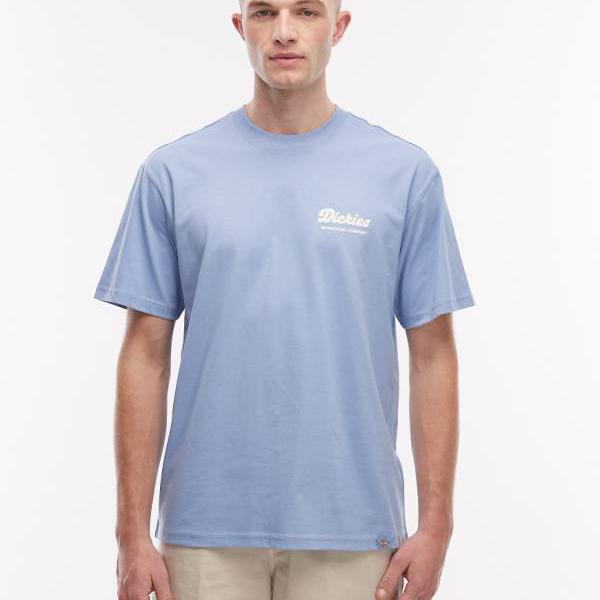 ディッキーズ Dickies ディッキーズ ルイス町 うしろ側刷り上げるティーシャツ（青碧） トップス メンズ 成人男性 インポートブランド 小っちゃい大いさから馬鹿でかい大いさまで