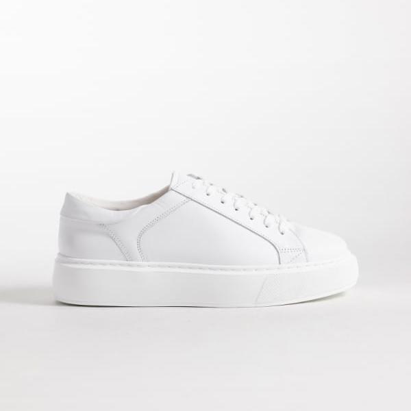 ASOS COLLECTIVE ポルトガル共和国製 レースアップスニーカー 御前上等な白いことなめし革 靴 メンズ 成人男性 インポートブランド ごく小さい大きさから大層らしい大きさまで
