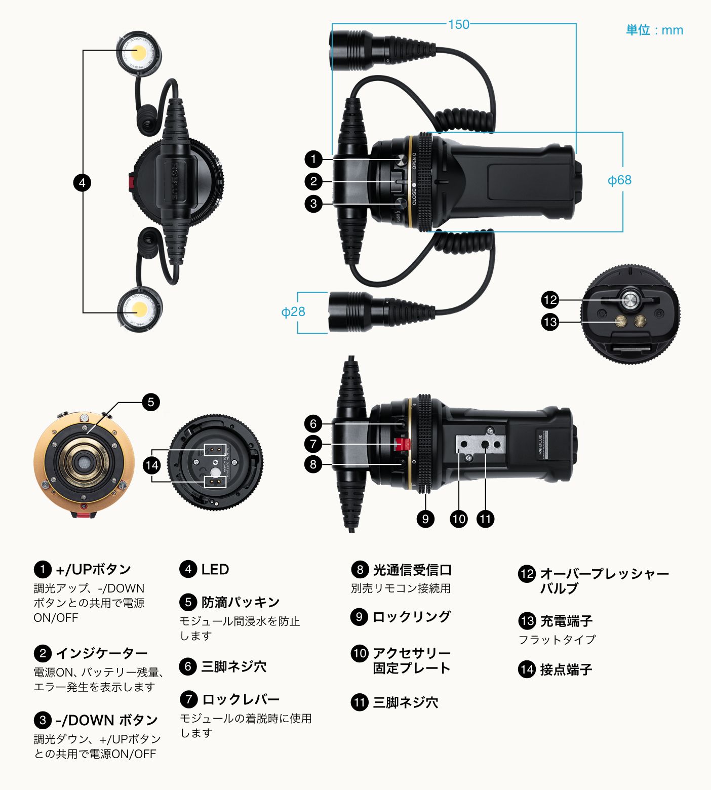 RGBLUE アールジーブルー TWIN PREMIUM SYSTEM01:re LIGHT プレミアム