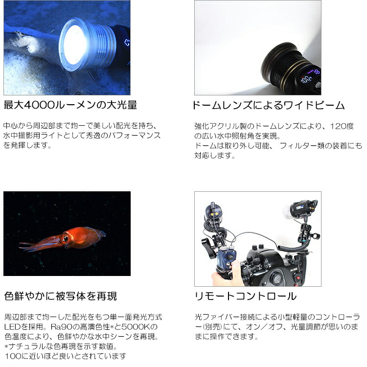 上品な フィッシュアイ FIX NEO Premium 1500 DX SWR 2 FS水中ライト 充電池 充電器付 LED 水中カメラ水中ビデオ  ダイビング フィックスネオ fucoa.cl