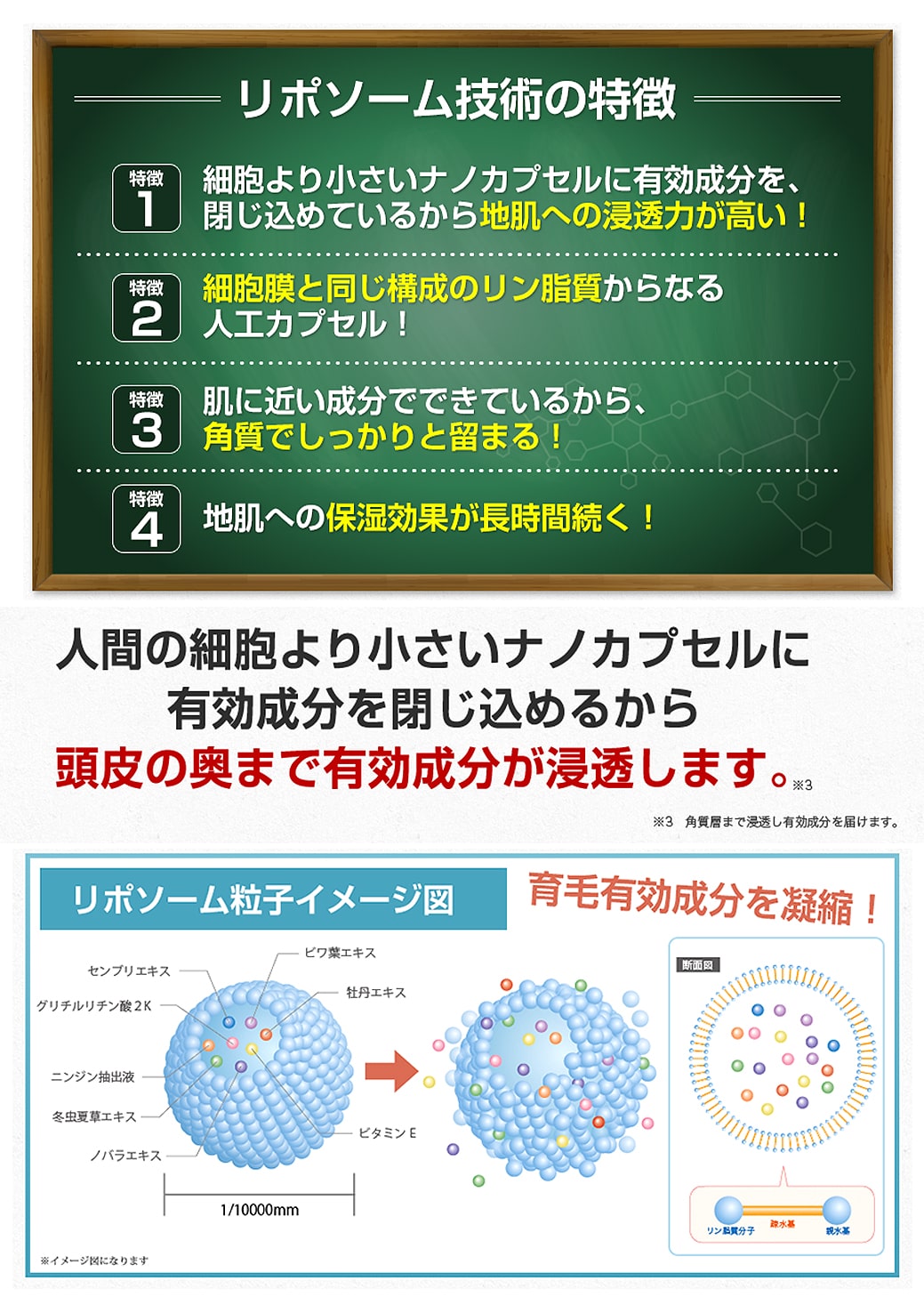 超濃密薬用育毛剤HAYABUSA医薬部外品薄毛発毛促進頭皮ケア育毛養毛