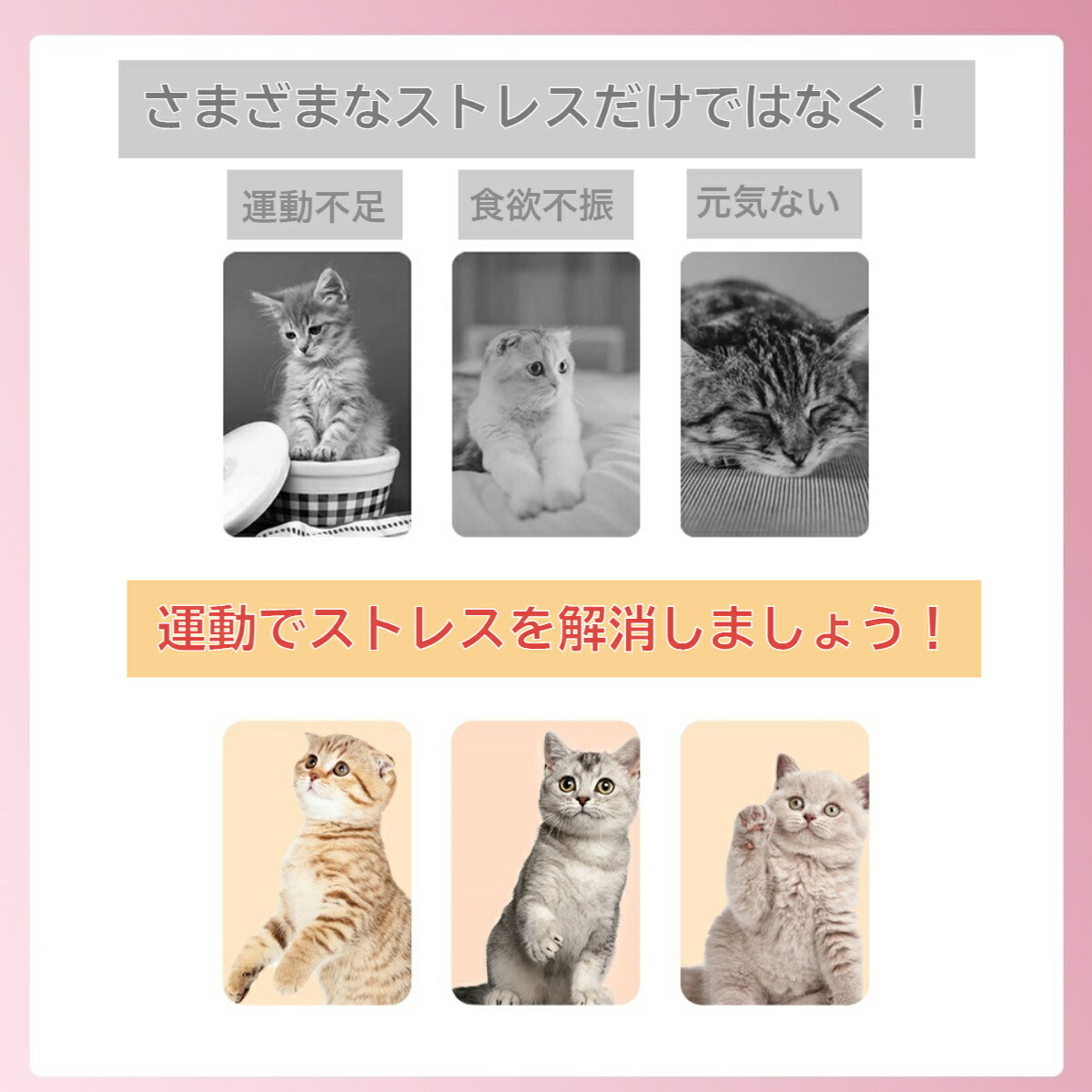猫遊び用品 Led Ledライト Usb充電式 Usb充電式5パターンライト いぬ おもちゃ じゃれ猫 ねこ ストレス解消 ペット用品 ペンライト赤光 ポインター レッドライト 光るおもちゃ 動物 犬 猫じゃらし 運動不足解消 長期使用可能 電動 美しい Usb充電式5パターンライト