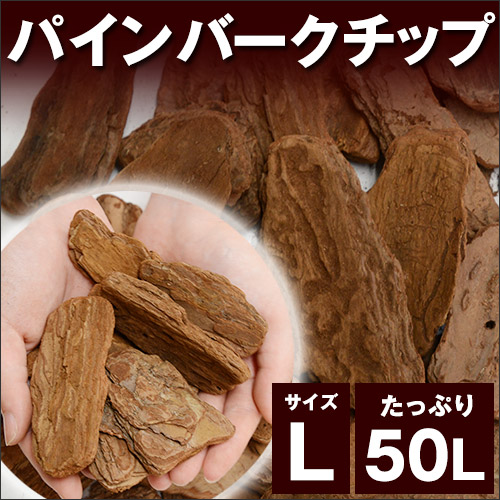 値下げ 敷きマルチング パインバークチップ 50リットル 素材 木 lサイズ 10袋セット 約10kg 10袋 10平米分 春 50リットル 春 デコレーション 園芸用土花 ガーデン Diy ガーデンの美観演出 防草 保湿 泥はね 防止効果のある天然ウッドチップ ごろごろ肉厚の 値下げ 敷きマルチング パインバークチップ 50リットル 素材 木 lサイズ 10袋セット 約10kg 10袋 10平米分 春 50リットル 春 デコレーション 園芸用土花 ガーデン Diy ガーデンの美観演出 防草 保湿 泥はね 防止効果のある天然ウッドチップ ごろごろ肉厚の