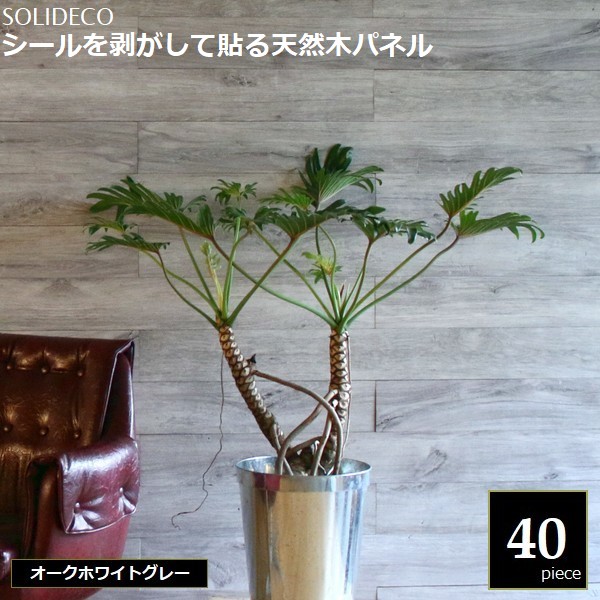 壁材 天然木パネル オークホワイトグレー 40枚組（約6平米) SOLIDECO SLDCPR-40P-006GRY ※北海道＋1500円 【代引不可】｜ウッドデッキ エクステリア リーベ