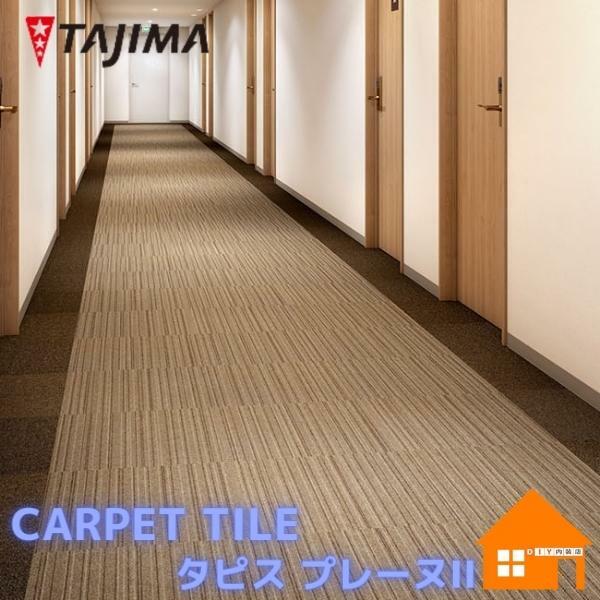 タジマルーフィング 瓦引っ敷き タピス プレーヌII 手当たり次第縞模様