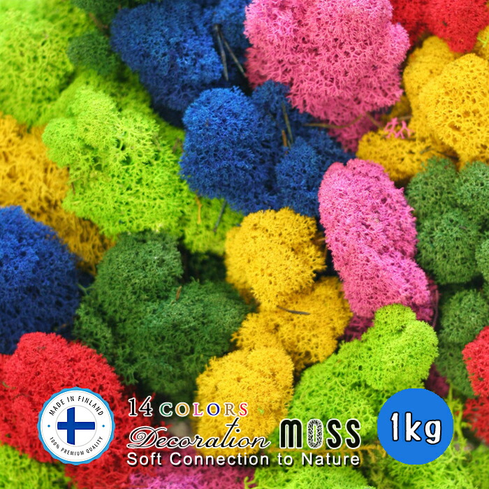 楽天市場】モス フィンランドモス 200g プリザーブド プリザーブド