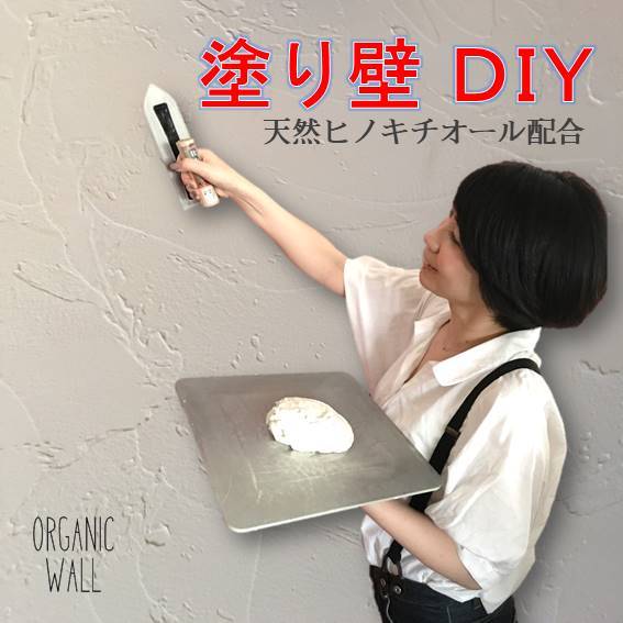 Diy 珪藻土 リフォーム 壁 下地処理 シーラー 強力タイプ 砂壁 土壁 ベニヤ オーガニックウォール専用 アク シミ防止剤ストロング Kg入り Napierprison Com