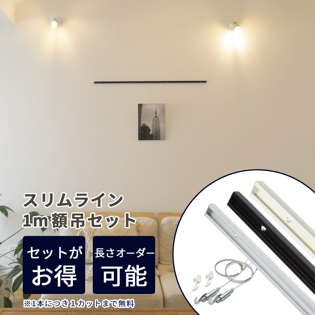 ピクチャーレール 楽天市場】ピクチャーレールR 2m 額吊セット 新型ワイヤーフックα