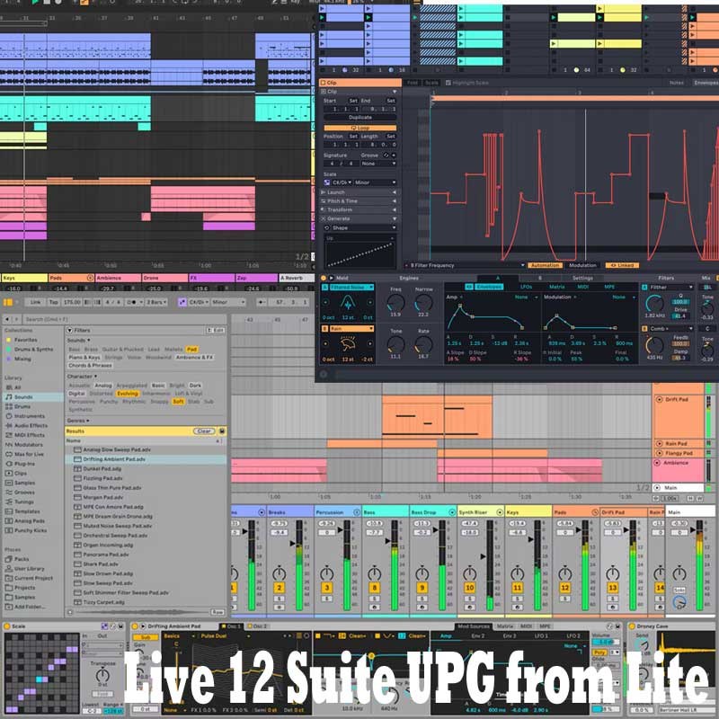 楽天市場】ableton Live 12 Suite EDU アカデミック版 (代引不可