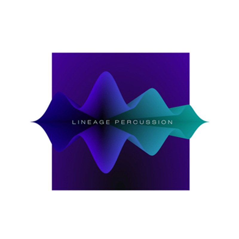 PROJECT SAM LINEAGE PERCUSSION PRO(代引不可)(オンライン納品) DTM ソフトウェア音源
