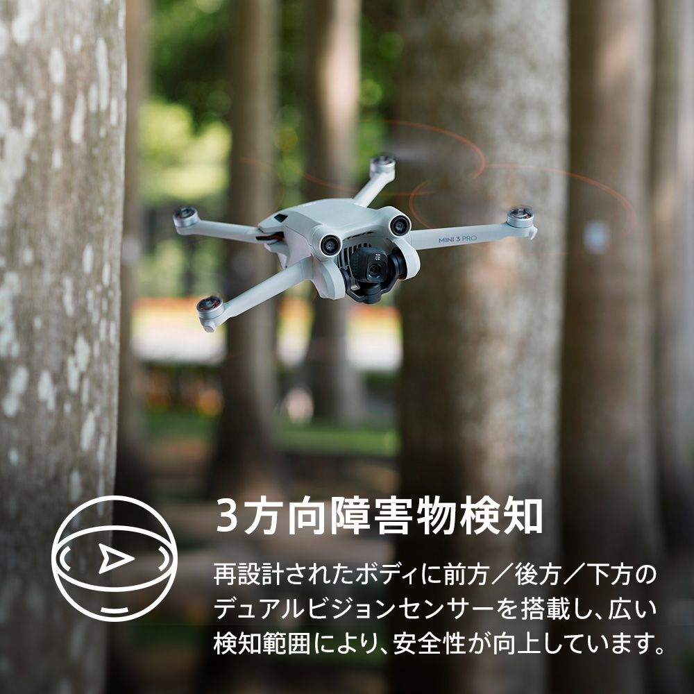 ドローン DJI Mini 4K 写真 空撮 初心者 MINI3 小型 48MP Pro 障害物