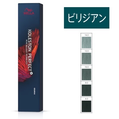 【お買い得‼️】2/0コレストンパーフェクト+ 24本セット お買い得‼️】2/0コレストンパーフェクト+ 24本セット お買い得‼️】2