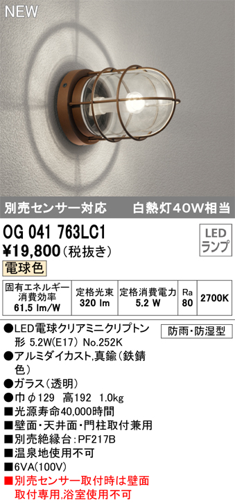 2022新作 天井面 門柱取付兼用 OG041763LC1鉄錆色 ライトオーデリックODELIC エクステリア 照明  インダストリアル感漂う定番のあかり 壁面 ペンダントライト 屋外 ポーチライト エクステリア・ガーデンファニチャー