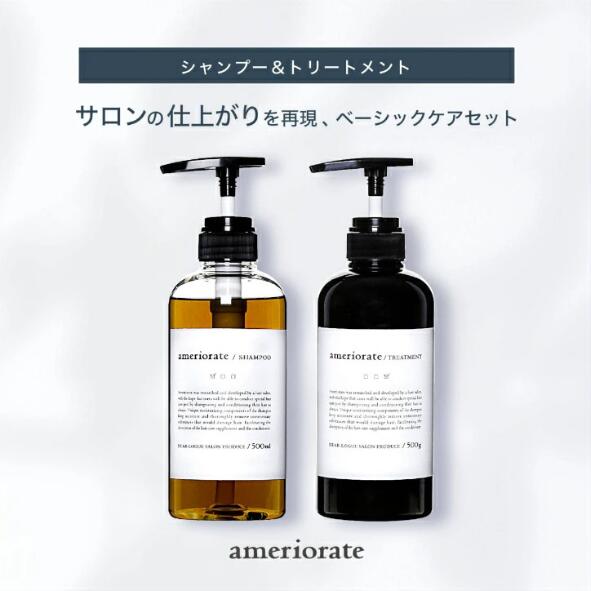 アメリオレイト シャンプー＆トリートメント シトラス 500ml 美容室 専売品 サロン専売品 ヘマチンシャンプー サロンシャンプー 業務用 頭皮ケア シャンプー 高級シャンプー セット ダメージヘアトリートメント
