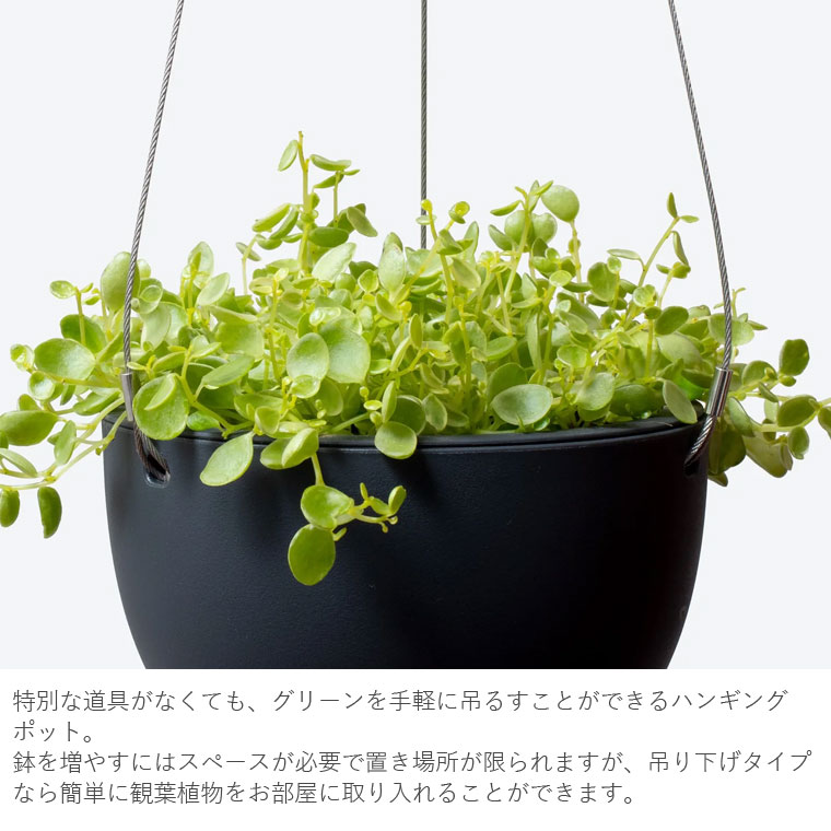 5号ハンギングポット(新品) 受け皿付き プラスチック 10個