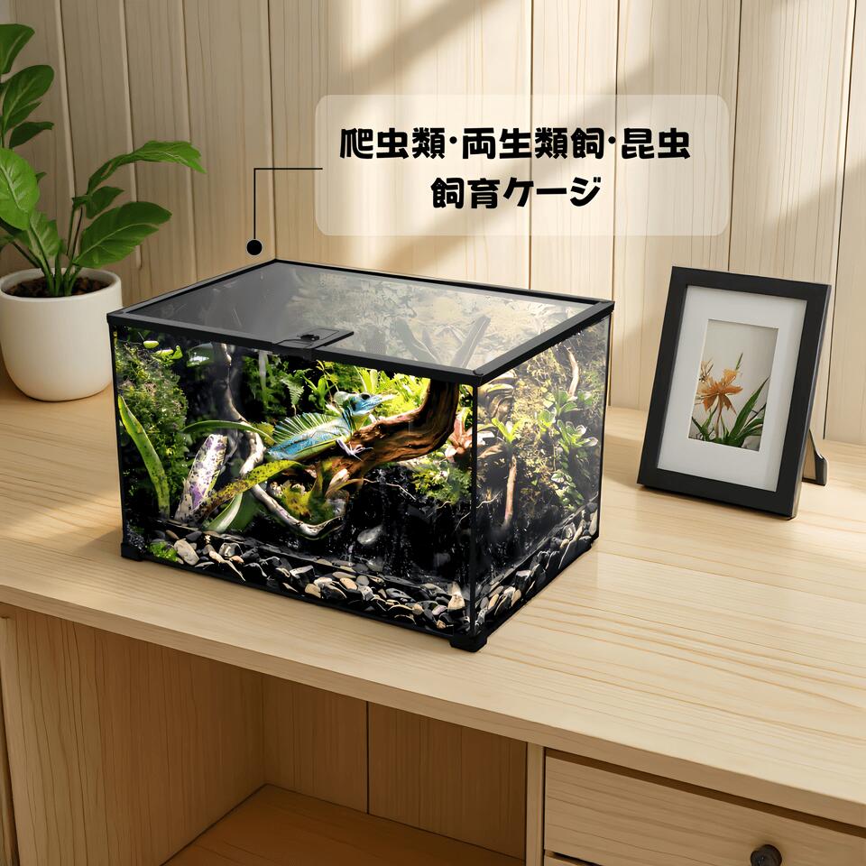 楽天市場】DMB自社製爬虫類飼育 両生類 飼育ケージ ガラスケージ