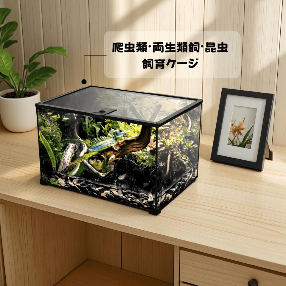 楽天市場】DMB自社製爬虫類飼育 両生類 飼育ケージ ガラスケージ