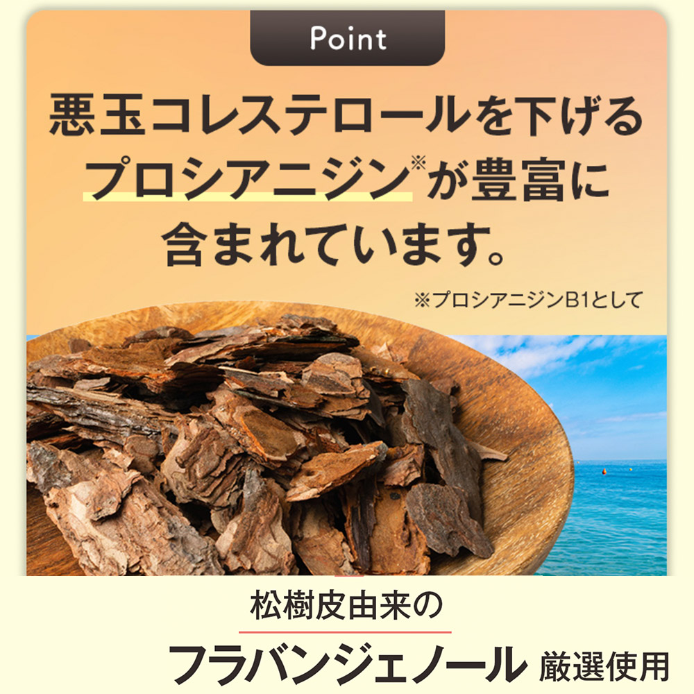 10袋集中ケアセット 15 Off 送料無料 コレステ生活 Dmjえがお生活 31日分 日本製 機能性表示食品 コレステロール 下げる サプリメント悪玉 コレステロール サプリメント Ldl コレステロール サプリ 高コレステロール プロシアニジン フラバンジェノール タブレット 粒
